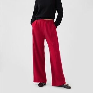 Wide-Leg Seamed Pull-On Pants
